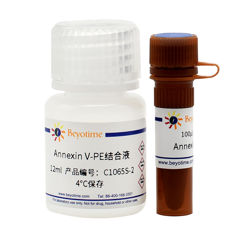Annexin V-PE细胞凋亡检测试剂盒(C1065S)