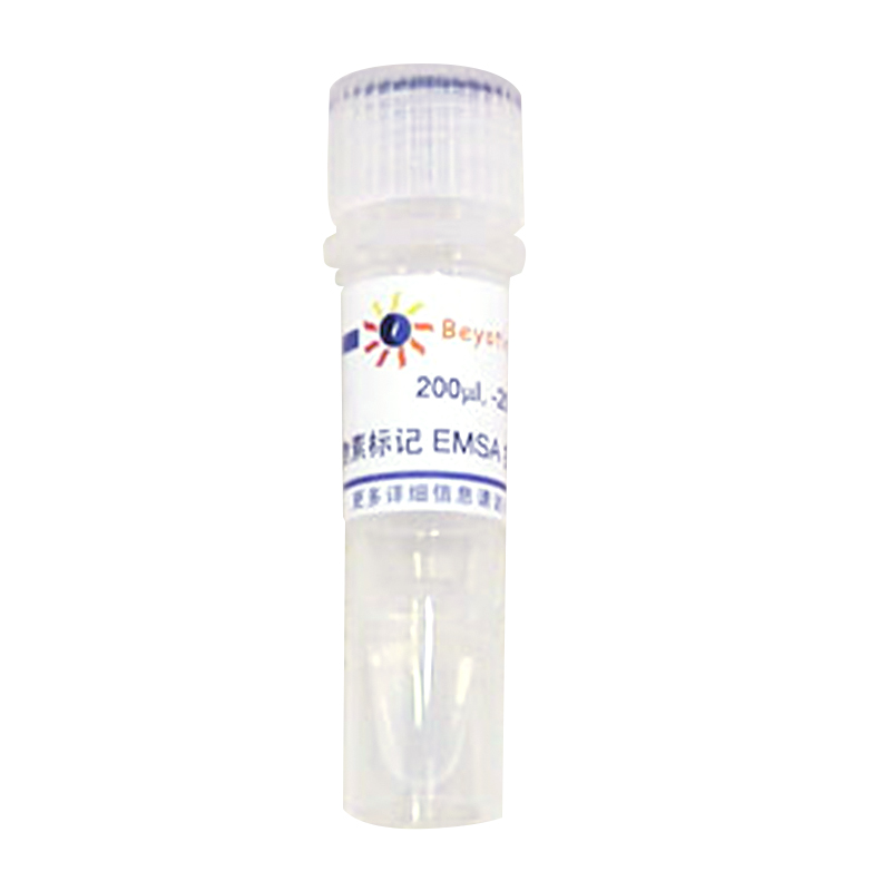 生物素标记EMSA探针－按需制备(0.2μM)(GSREQB)