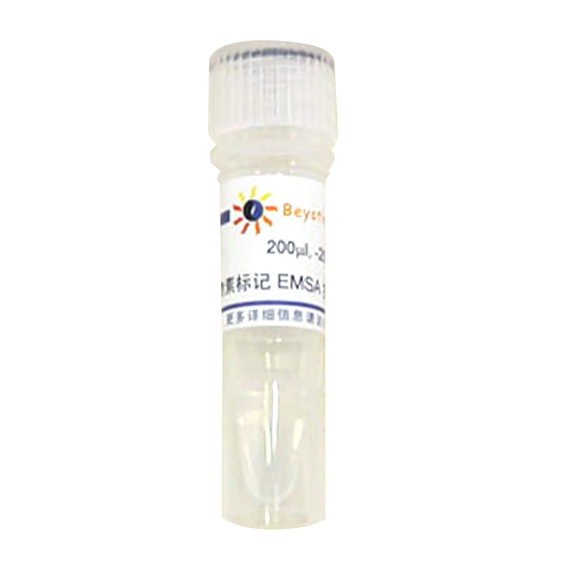 生物素标记EMSA探针－STAT3 (0.2μM)(GS083B)