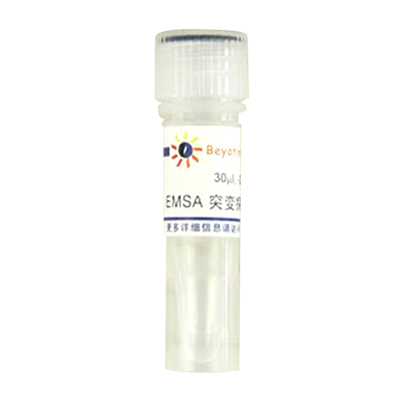 EMSA突变探针－p53 (10μM)(GS066T)