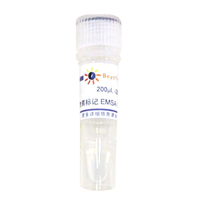 生物素标记EMSA探针－NF-κB (0.2μM)(GS056B)