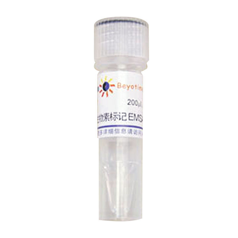 生物素标记EMSA探针－C/EBP (0.2μM)(GS016B)