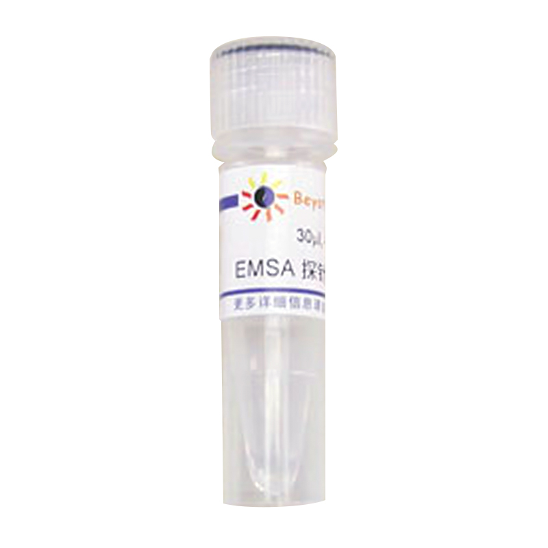 EMSA探针－C/EBP (10μM)(GS016A)