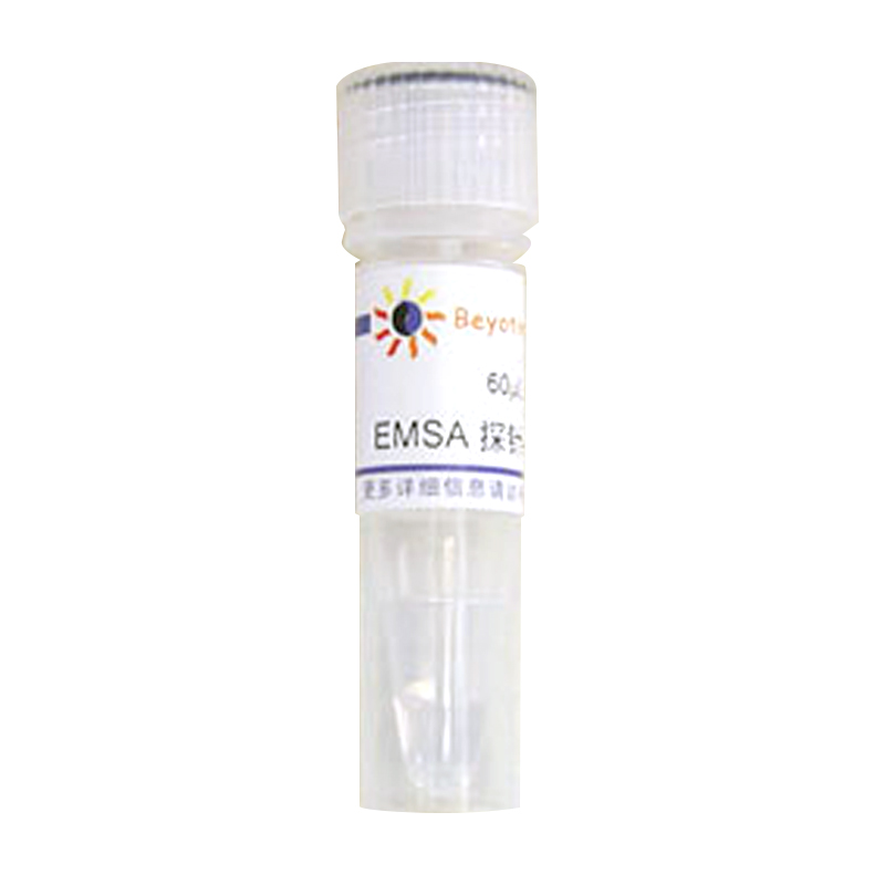 EMSA探针－C/EBP (1.75μM)(GS016)