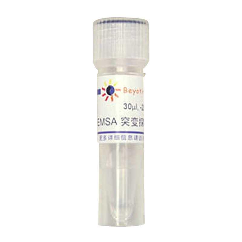 EMSA突变探针－AP1 (10μM)(GS011T)