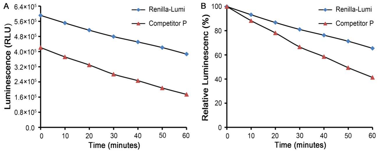 Renilla-Lumi海肾萤光素酶报告基因检测试剂盒(RG062M)