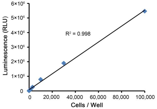 Renilla-Lumi海肾萤光素酶报告基因检测试剂盒(RG062S)