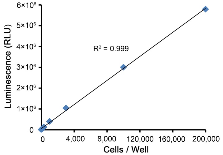 Steady-Lumi萤火虫萤光素酶报告基因检测试剂盒(RG058S)