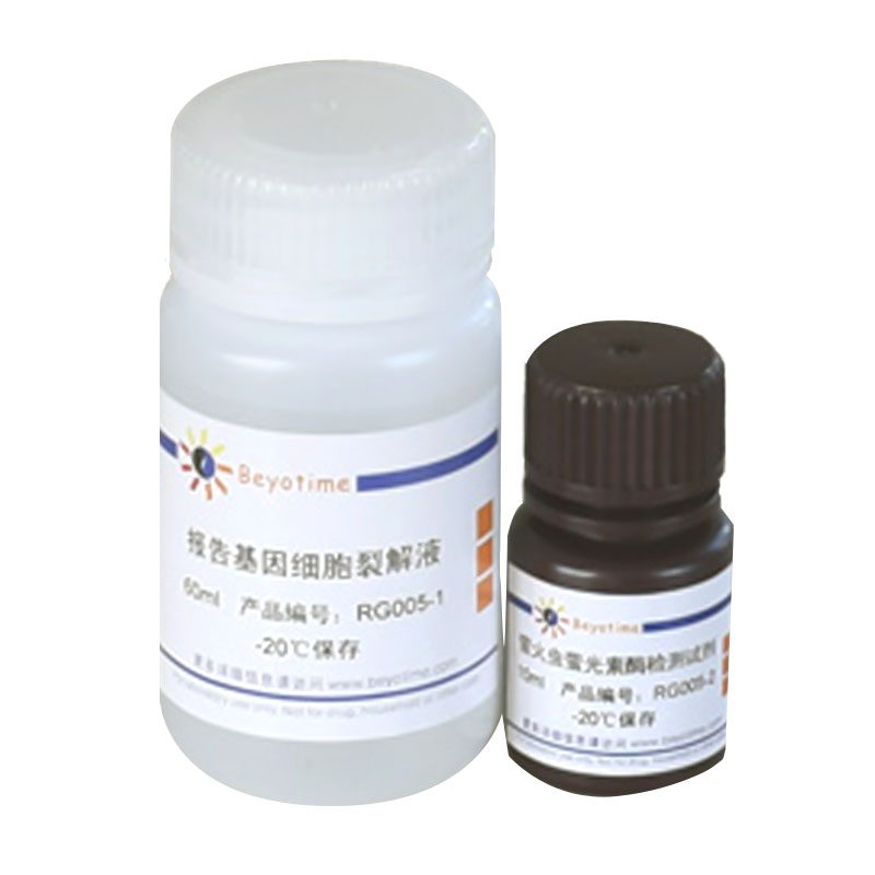 萤火虫萤光素酶报告基因检测试剂盒(RG005)