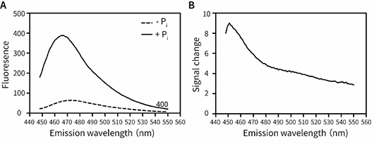 Phosphate Sensor Assay Kit (磷酸根荧光检测试剂盒)(S0192M)