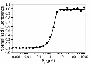 Phosphate Sensor Assay Kit (磷酸根荧光检测试剂盒)(S0192M)