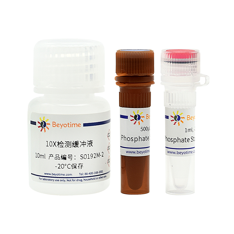 Phosphate Sensor Assay Kit (磷酸根荧光检测试剂盒)(S0192M)