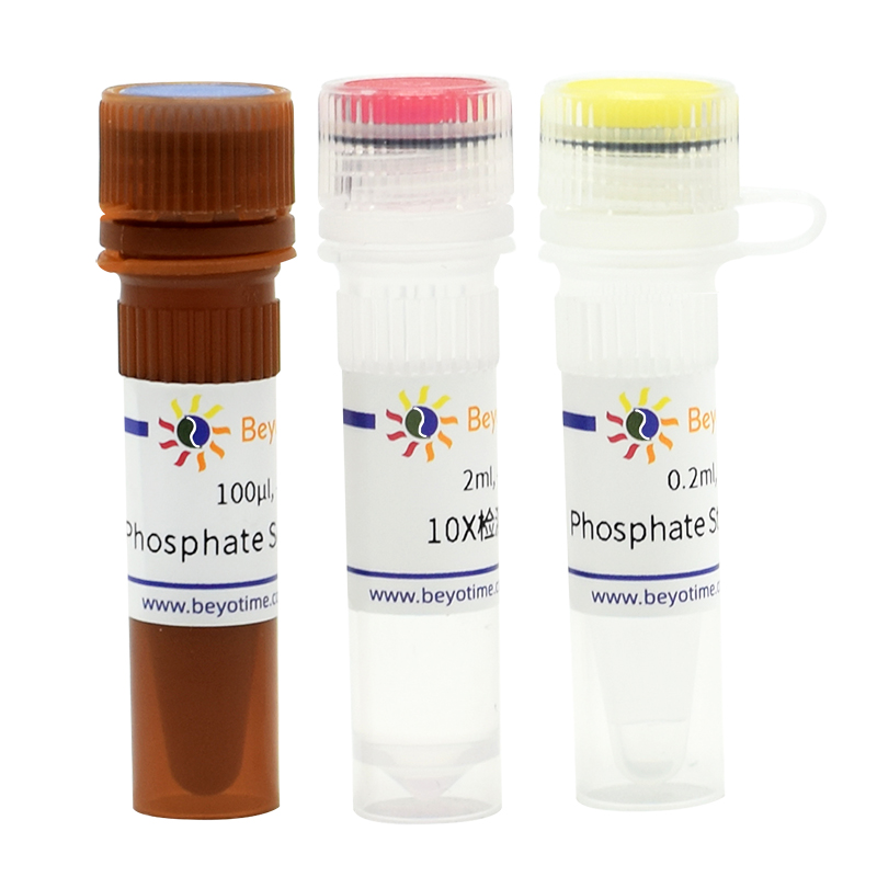 Phosphate Sensor Assay Kit (磷酸根荧光检测试剂盒)(S0192S)