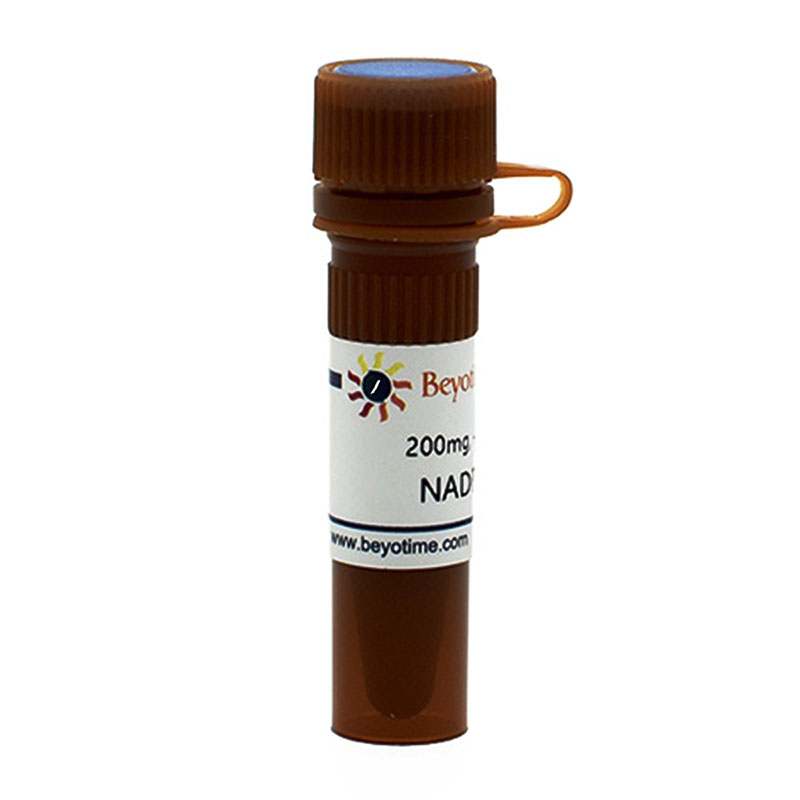 NADPH(还原型辅酶Ⅱ四钠盐)(ST360-200mg)