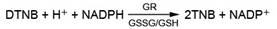 GSH和GSSG检测试剂盒(S0053)