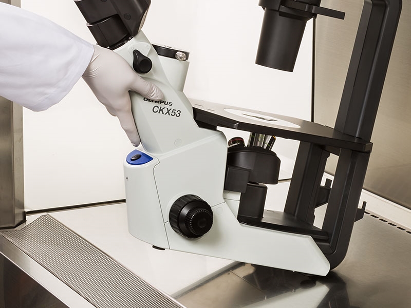 CKX53细胞培养用倒置显微镜（奥林巴斯）