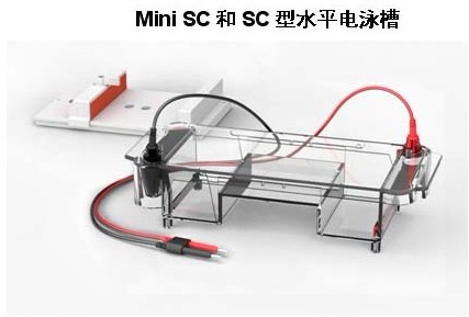 Mini SC和SC型水平电泳槽|核酸电泳