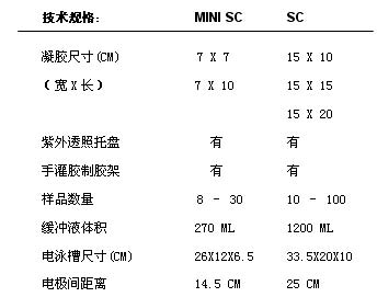 Mini SC和SC型水平电泳槽|核酸电泳