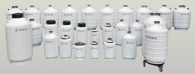 YDS-15/YDS-30B/YDZ-175液氮罐|液氮生物容器