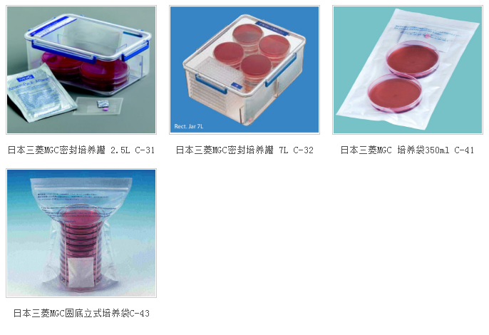 日本三菱MGC厌氧反应器2.5L/7.0L密封培养罐