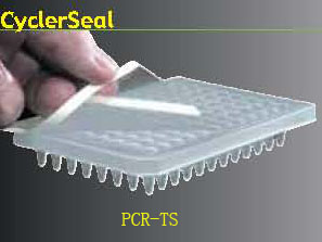 美国AXYGEN PP热盖膜PCR-TS（60um）