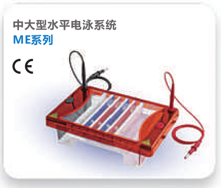 ME15-7-10-15中型水平凝胶电泳仪（现货清仓）