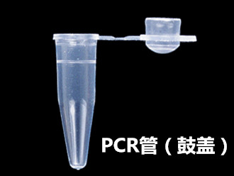 美国Axygen 0.2mlPCR薄壁管（鼓盖）PCR-02D-C
