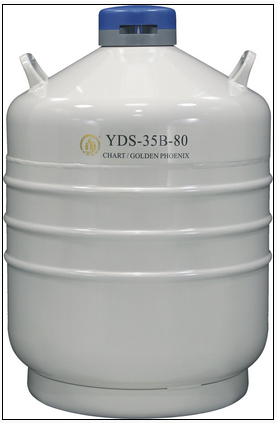 金凤运输型液氮罐YDS-35B-80/YDS-30B-80
