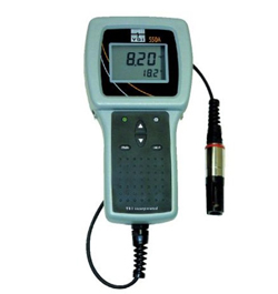 YSI550A-12溶解氧仪