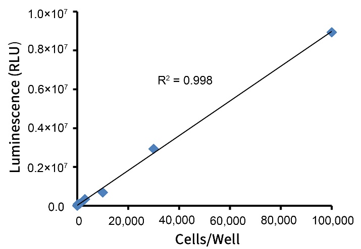 Bio-Lumi II萤火虫萤光素酶报告基因检测试剂盒(RG043M)