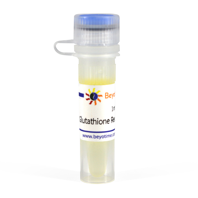 Glutathione Reductase (Yeast, Recombinant)(酵母重组谷胱甘肽还原酶)(P2372M)