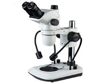 SZM81-B连续变倍体视显微镜