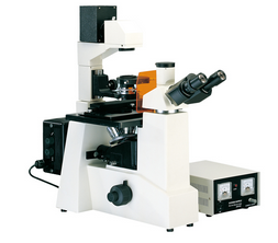 BM3000D倒置荧光显微镜