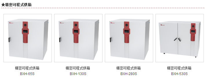 BXH-65S精密可程式烘箱