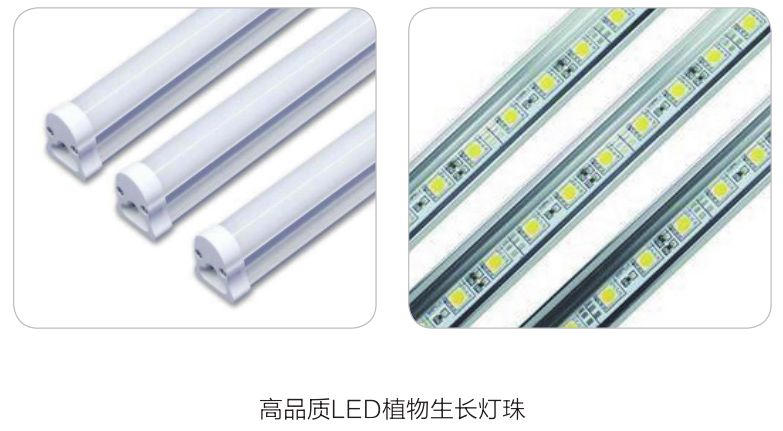 LED光照培养箱MGC-100BP-2L/MGC-250BP-2L