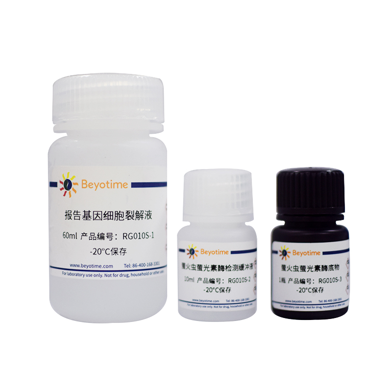 萤火虫萤光素酶报告基因检测试剂盒II (增强型)(RG010S)