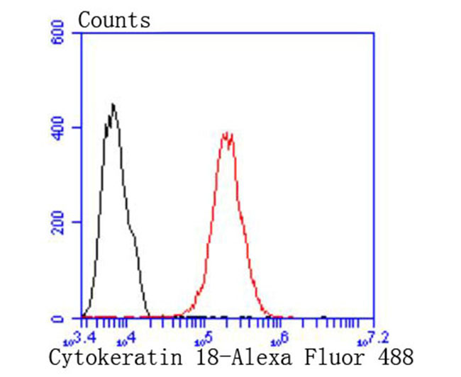 Cytokeratin 18 Rabbit mAb(Cytokeratin 18兔单抗)(AF1285)