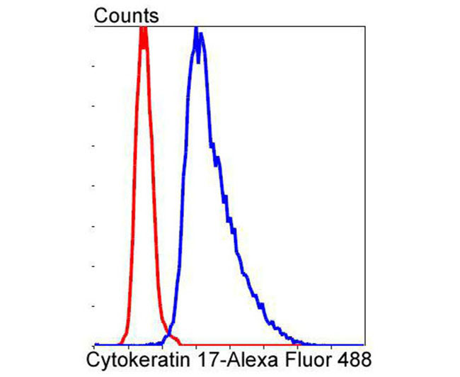 Cytokeratin 17 Rabbit mAb(Cytokeratin 17兔单抗)(AF1084)