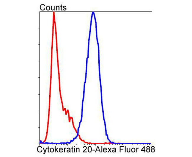 Cytokeratin 20 Rabbit mAb(Cytokeratin 20兔单抗)(AF1012)