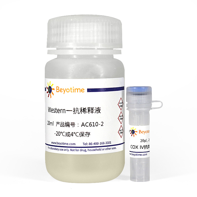 COX IV抗体(兔多抗)(AC610)