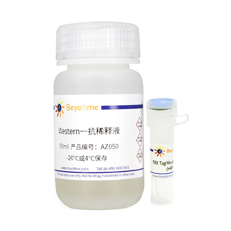 TRX Tag Mouse mAb (HRP Conjugated)(TRX Tag 小鼠单抗)(AF2951)