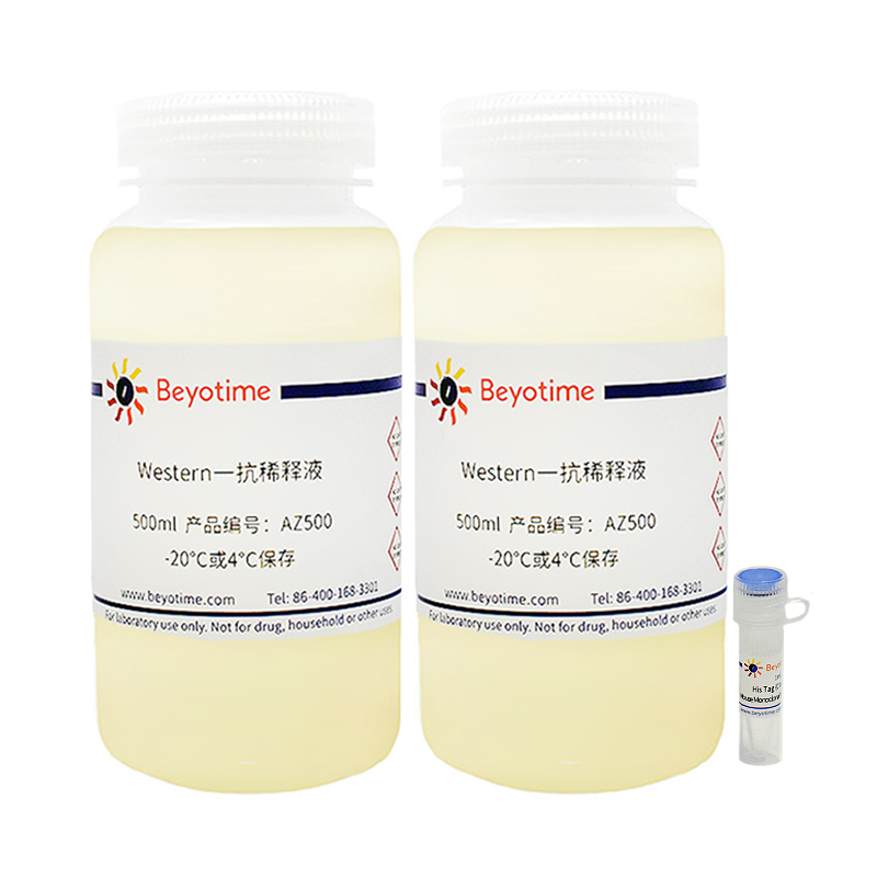 His Tag (C-terminal Specific) Mouse mAb (HRP Conjugated) (小鼠单抗)(AF2873-1ml)