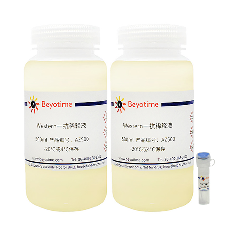 His Tag (C-terminal Specific) Mouse mAb(His Tag (C-terminal Specific)小鼠单抗)(AF2870-1ml)