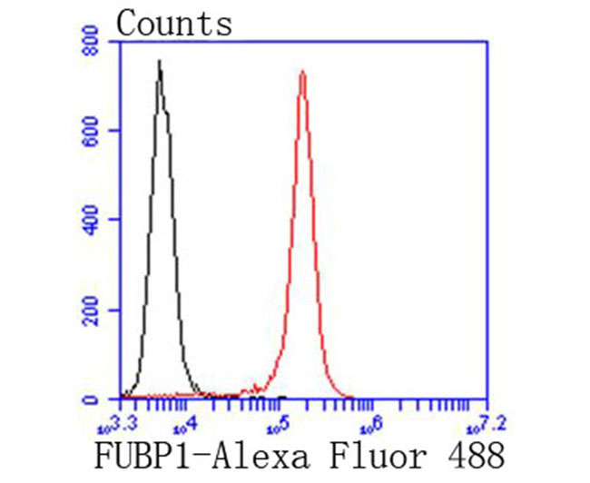 FUBP1 Rabbit mAb(FUBP1兔单抗)(AF1354)