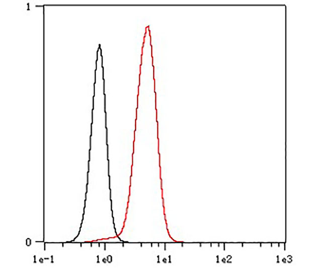 Na,K-ATPase α1 Rabbit mAb(Na,K-ATPase α1兔单抗)(AG8025)