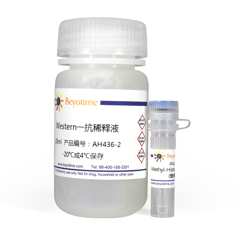 Di-Methyl-Histone H3(Lys4)抗体(兔单抗)(AH436)