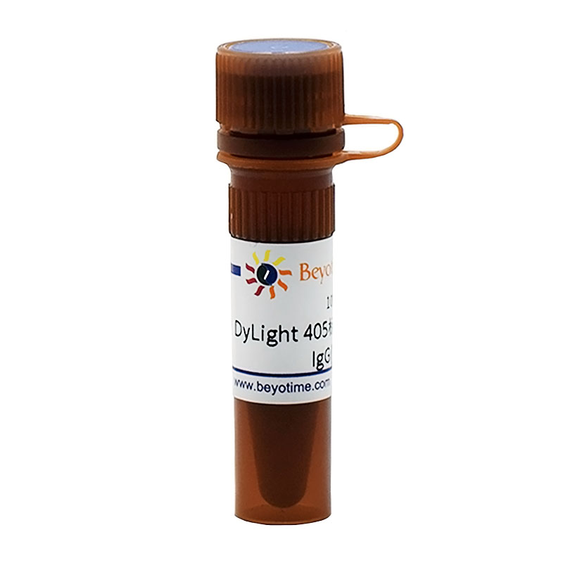 Dylight 405标记山羊抗小鼠IgG(H+L)(A0609)