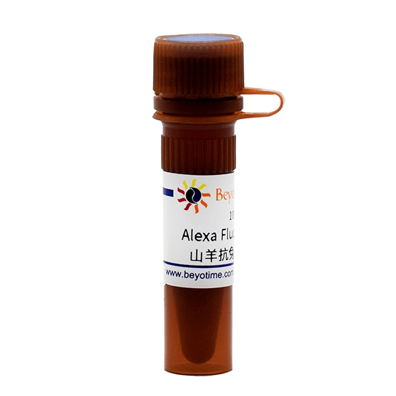 Alexa Fluor 488标记山羊抗兔IgG(H+L)(A0423)