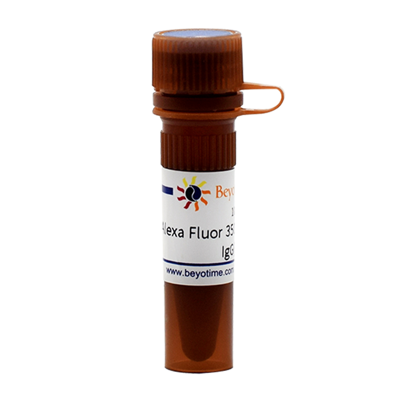 Alexa Fluor 350标记山羊抗小鼠IgG(H+L)(A0412)