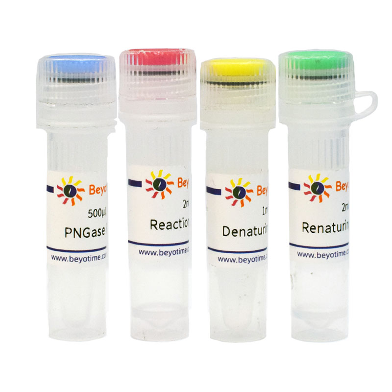 PNGase F去糖基化试剂盒(P2318L)